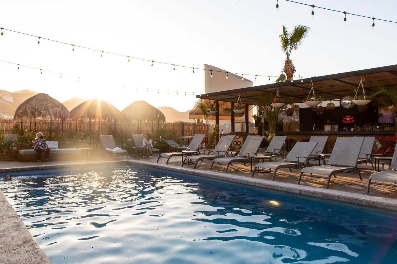 Mayan Monkey Los Cabos - Social Hotel (Adults Only) Cabo San Lucas
