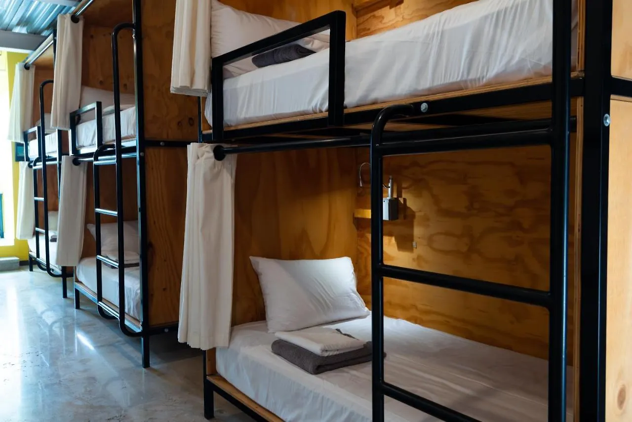 Mayan Monkey Los Cabos - Social Hotel (Adults Only) Cabo San Lucas
