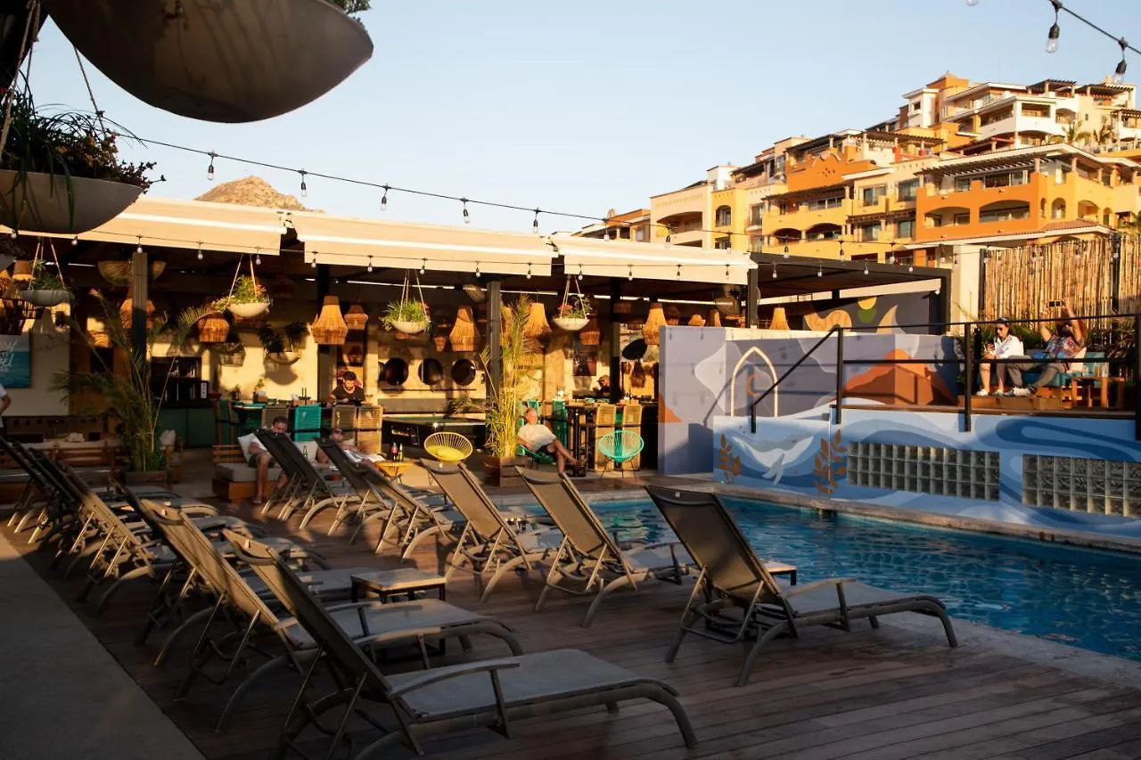 Mayan Monkey Los Cabos - Social Hotel (Adults Only) Cabo San Lucas 4*,  Mexico