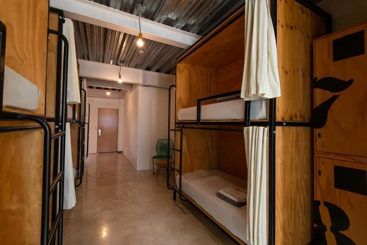 Mayan Monkey Los Cabos - Social Hotel (Adults Only) Cabo San Lucas Mexique