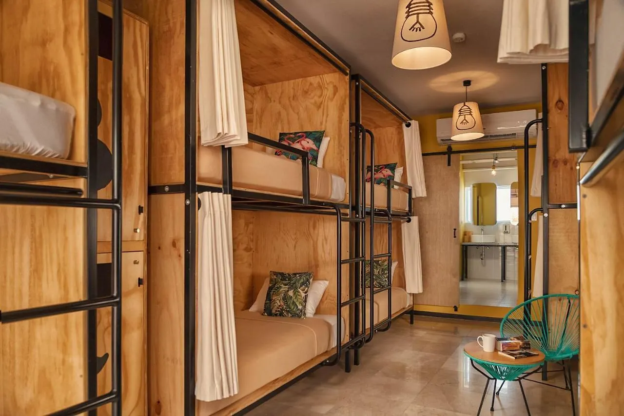 Mayan Monkey Los Cabos - Social Hotel (Adults Only) Cabo San Lucas